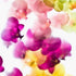 Multi-Coloured Orchids Art Print Set